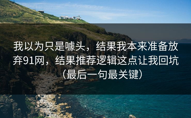 我以为只是噱头，结果我本来准备放弃91网，结果推荐逻辑这点让我回坑（最后一句最关键）